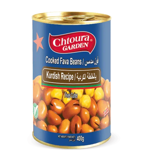 فول مدمس بالخلطة الكردية