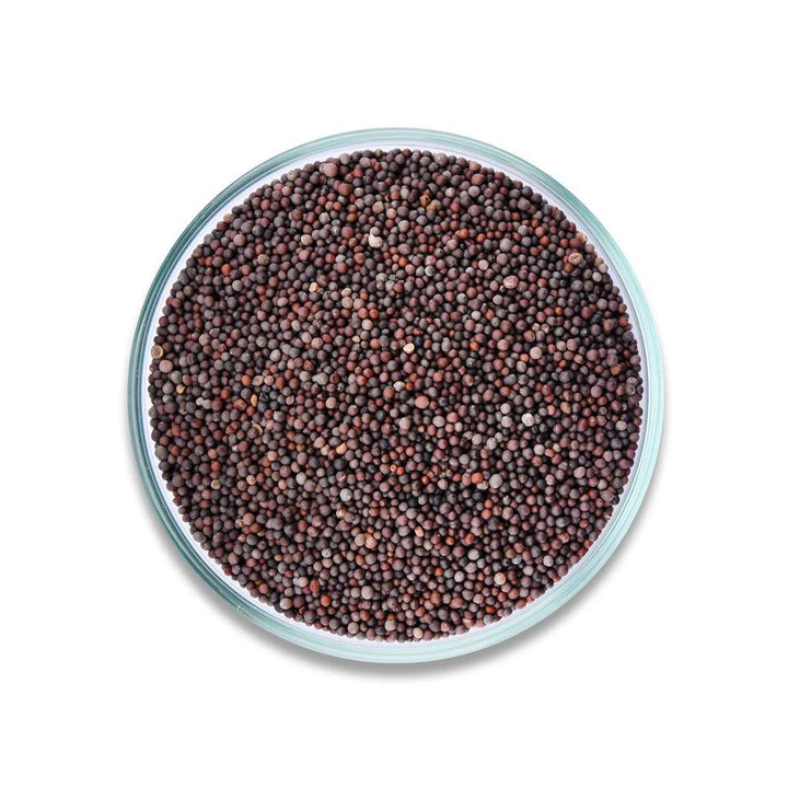 خردل حب بني