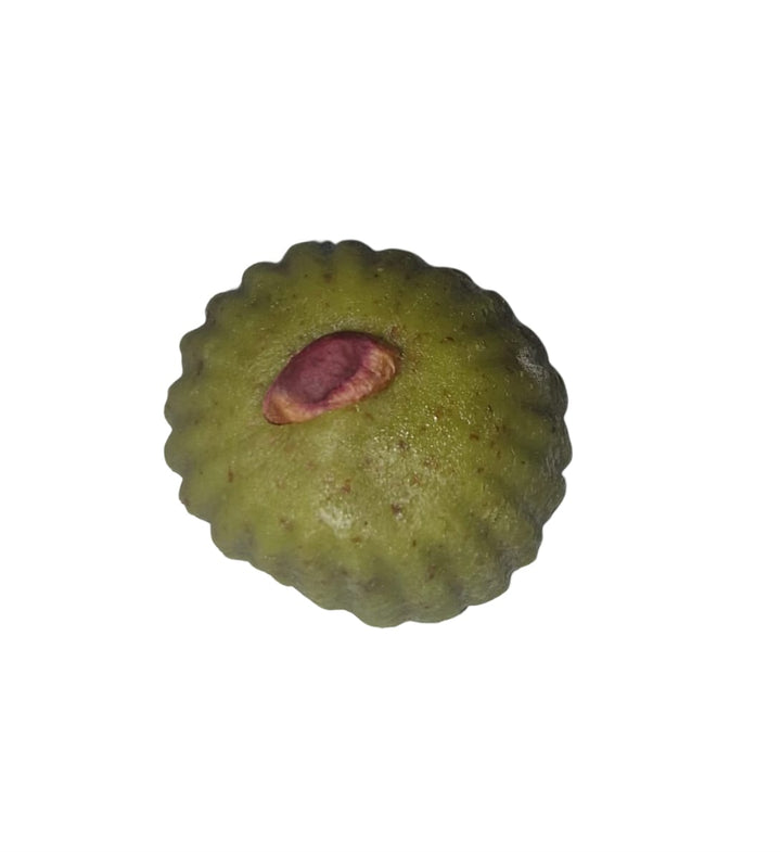 نوجا - عجينة الفستق الحلبي